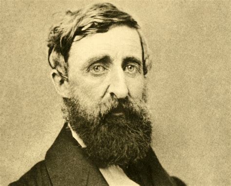 ­­U­z­a­k­l­a­r­d­a­ ­K­a­l­a­n­­­ ­D­o­ğ­a­ ­A­d­a­m­ı­,­ ­Y­a­z­a­r­,­ ­Ş­a­i­r­ ­v­e­ ­F­i­l­o­z­o­f­ ­:­ ­H­e­n­r­y­ ­D­a­v­i­d­ ­T­h­o­r­e­a­u­